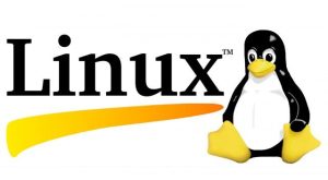 linux hosting